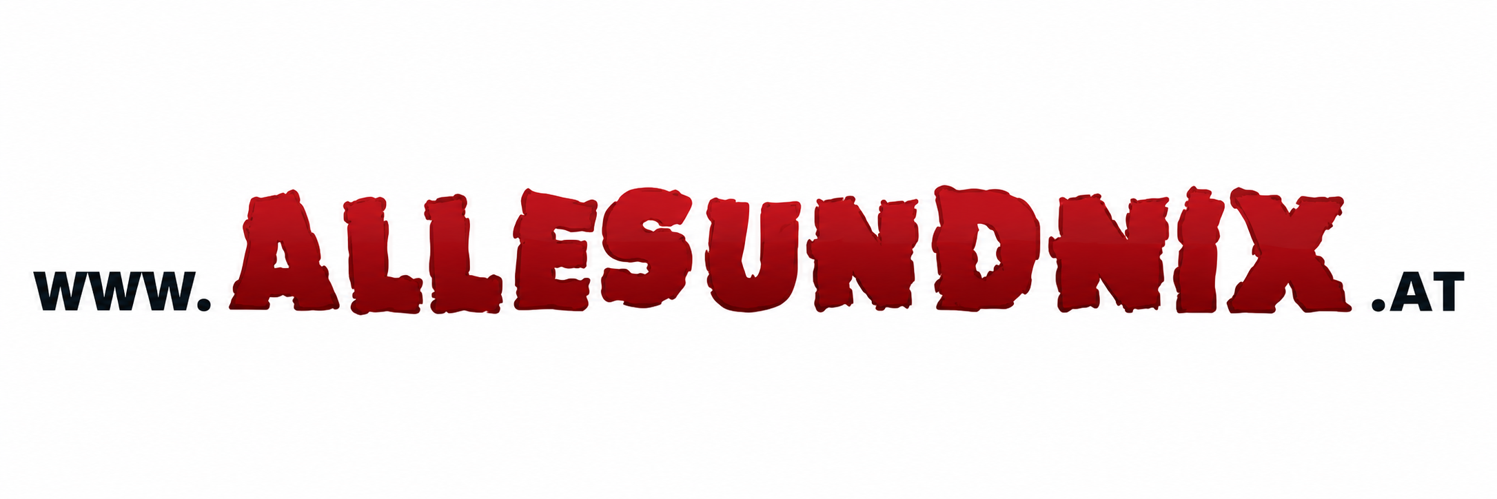 ALLESUNDNIX.AT Logo